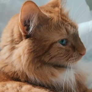 Meet your Posher, Kristina